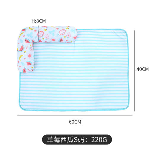 伊丽春夏款垫子 商品图3