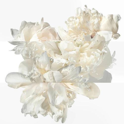 HERMES/爱马仕  淡姜之水女士香水 EDP浓香水30-50-85ml 辛辣花香调 2021新品 商品图4