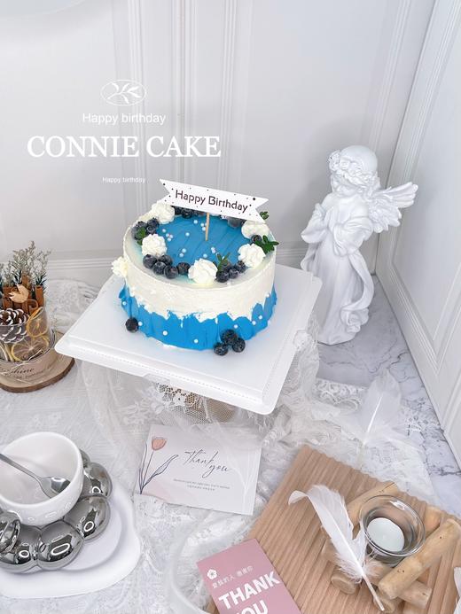 【0949】蓝莓简约水果款 商品图3