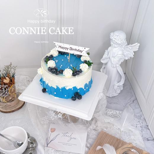 【0949】蓝莓简约水果款 商品图0