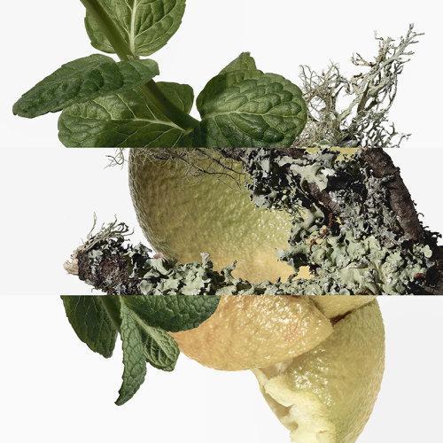 Hermes爱马仕橘绿之泉男士古龙水 EDC香水50-100-200ml 商品图1