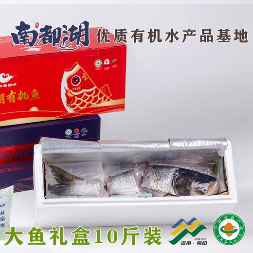 南都湖鱼有机鱼礼盒装 10斤装 商品图3