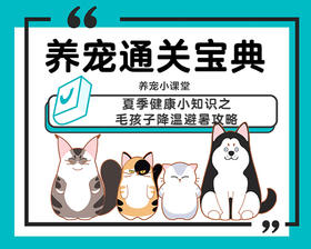 夏季健康小知识之毛孩子降温避暑攻略