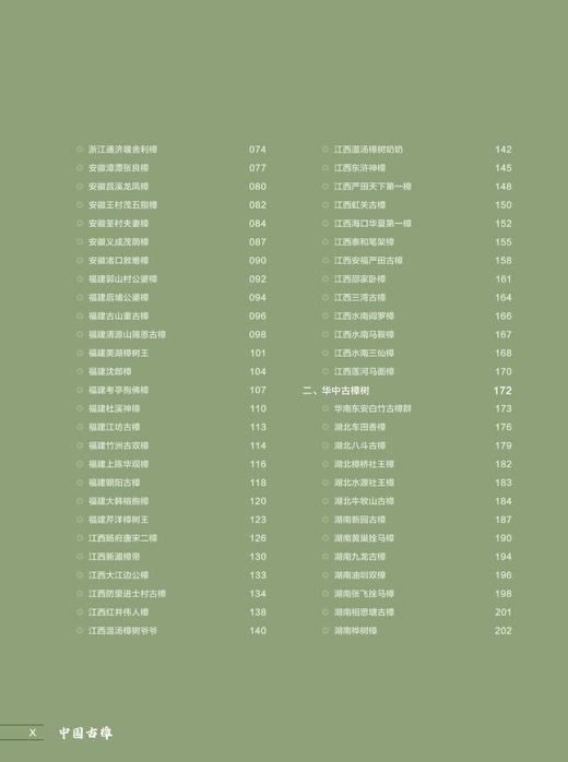 中国古樟1671
 商品图2