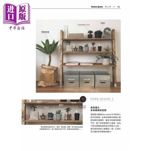 【中商原版】生活中的绿舍时光 30位IG人气装饰家＆绿色植栽的搭配布置 港台原版 主妇之友社 喷泉文化馆 商品图3