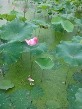 买家秀~来自【Win】的分享