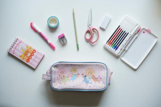 DJECO风筝 - 一只注定出现就全场C位的风筝（BJQ专用链接） 商品图10