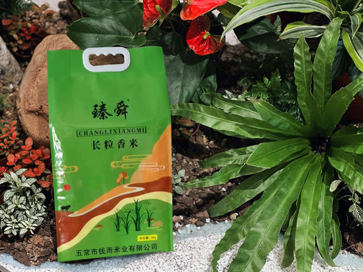 【优质大米】臻舜—长粒香米  5kg/包 商品图1