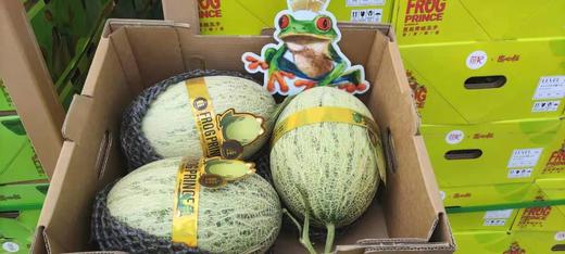 海南晓蜜瓜一个（拼团） 商品图1