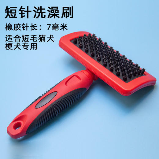 宠物按摩洗澡刷 意大利BRAVURAGROOM 商品图2