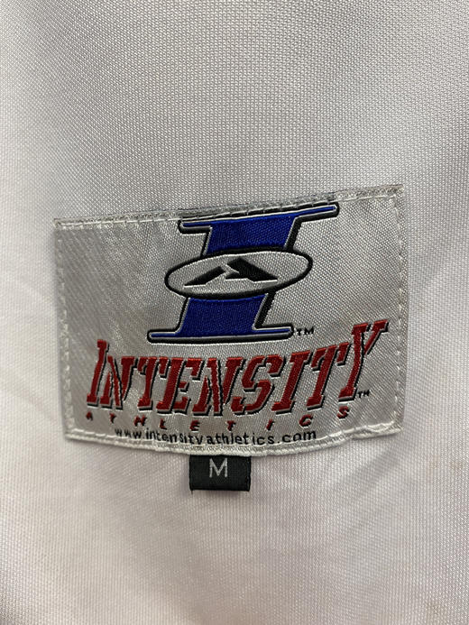 90年代 Vintage 
INTENSITY JERSEY _SSJ(M) 商品图2
