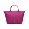 Longchamp/珑骧  女士LEPLIAGECLUB系列中号织物短柄可折叠手提包饺子包1623619 商品缩略图28