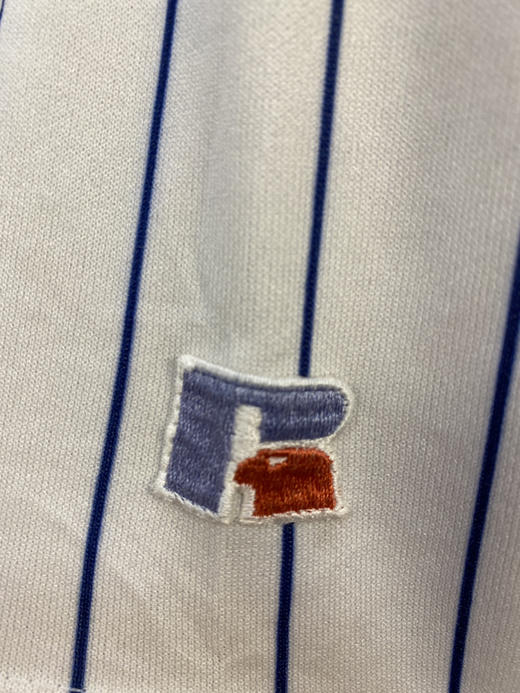 90年代 Vintage 美国制RUSSELL ATHLETIC 罗素 老鹰牌 Jersey _SSJ(M) 商品图2