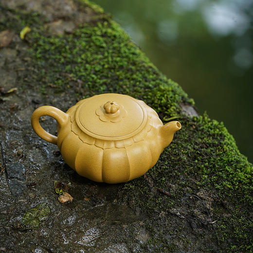 龙德堂陶艺 汤宣武《莲花芙蓉》原矿黄金段 240 cc 商品图1