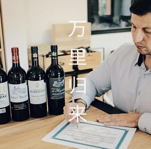 【超波AOC大赛双金奖】菲特瓦玛若林城堡 法国原瓶进口 13.5%vol 商品图7