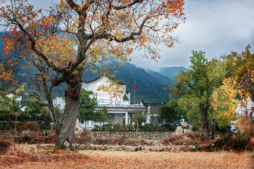 10.25红叶寻秋—大别山5天：罗田圣人堂、河西畈水上红叶、天堂湖 、大别山日出云海、马鬃岭摄影 商品图2