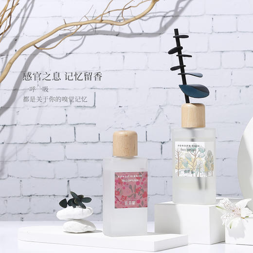 璐璐馨出逃系列无火香氛家用卧室客厅持久香水味120ml 商品图4