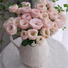 国产多头玫瑰花酷皮10支