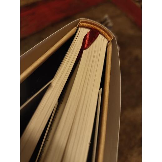 (仓发) 恶魔师（杨典最新短篇小说集，陈丹青、余世存、刁亦男、栾保群联袂推荐。）/作家出版社/杨典/9787521211481 商品图4