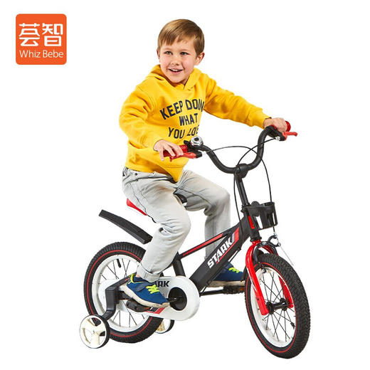 荟智自行车（磨砂黑） 商品图0