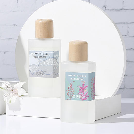 璐璐馨出逃系列无火香氛家用卧室客厅持久香水味120ml 商品图3