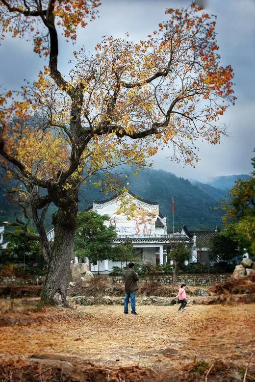 金秋醉美湖北大别山——银杏染荆楚 ，红叶正当时...随州大洪山、千年古银杏、大悟红叶海、罗田圣人堂、河西畈水上红叶、天堂湖湿地、马鬃岭秋色8天行摄之旅 商品图3