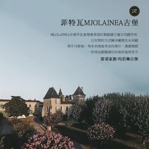 【超波AOC大赛双金奖】菲特瓦玛若林城堡 法国原瓶进口 13.5%vol 商品图6