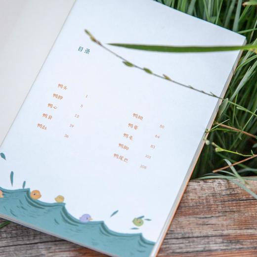 (仓发) 我想养一只鸭子（中文分级阅读K2，7-8岁适读，全彩大字）/山东文艺出版社/陈诗哥/9787532961528 商品图4