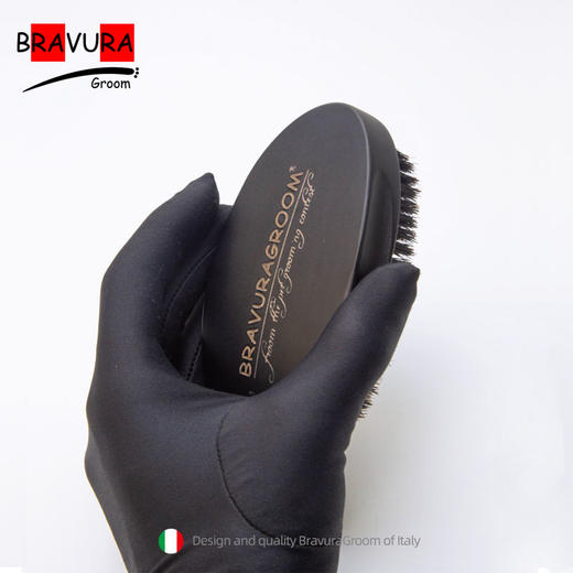  宠物猪鬃亮毛刷 手掌梳 意大利BRAVURAGROOM 商品图4