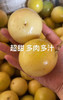 小区门口自提 ｜补维C！新鲜上市的正宗海南钦蜜9号百香果 ，甜甜的！适合直接吃，大果，3斤/份 商品缩略图3