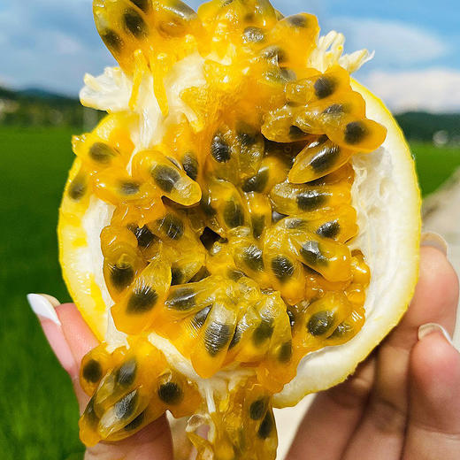 『钦蜜9号黄金百香果』纯甜风味，香气浓郁，不加蜂蜜直接吃 商品图7