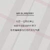 Burberry博柏利Mr.先生男士香水50-100ml EDT淡香水 木质调 商品缩略图5