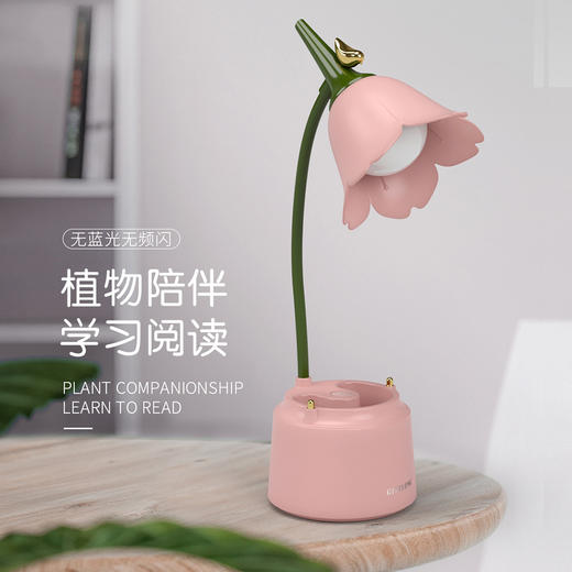 【蓝铃花气质台灯】新款LED可折叠触控台灯 宿舍卧室床头护眼学习专用小夜灯+笔筒 商品图1