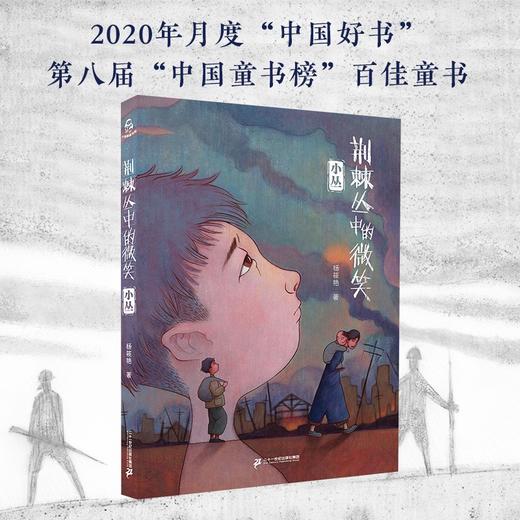 (仓发) 荆棘丛中的微笑：小丛  2020年陈伯吹国际儿童文学大奖（小海鹦童书馆）(中国环境标志产品 绿色印刷)/二十一世纪出版社集团/杨筱艳/9787556847433 商品图2