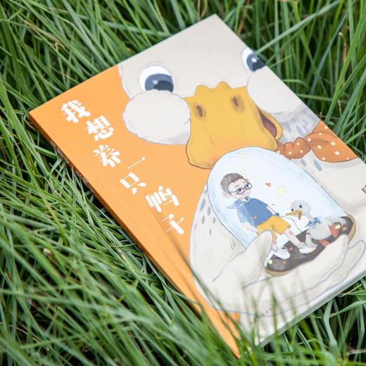 (仓发) 我想养一只鸭子（中文分级阅读K2，7-8岁适读，全彩大字）/山东文艺出版社/陈诗哥/9787532961528 商品图1
