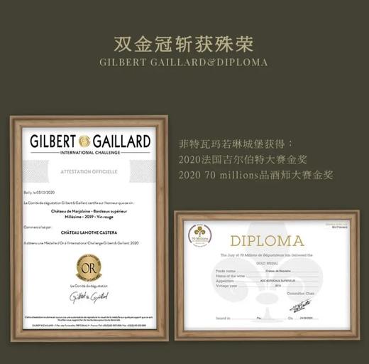 【超波AOC大赛双金奖】菲特瓦玛若林城堡 法国原瓶进口 13.5%vol 商品图3