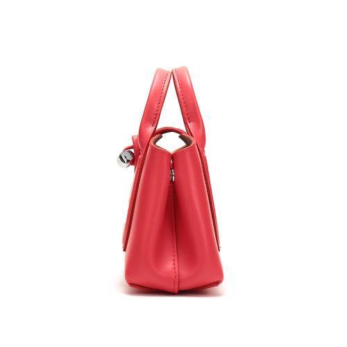 Longchamp/珑骧 士ROSEAU系列特小号皮质手提单肩斜挎包10057HSC 商品图2