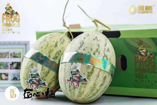 海南晓蜜瓜一个（拼团） 商品图0