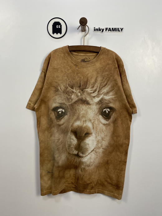 THE MOUNTAIN 短袖T恤 _PST(M) 商品图1