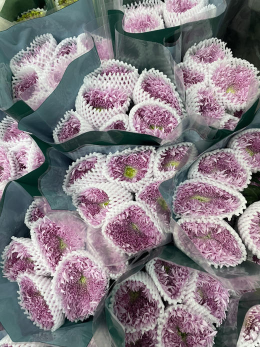 【面包菊】粉色 约9-10支/扎 商品图3