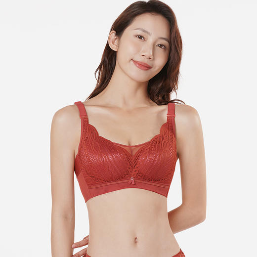 都市丽人舒软挺塑轻塑C杯调整型文胸蕾丝薄3/4杯塑身衣塑身文胸四排扣无钢圈LJ22H2 商品图0