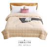 素道有机彩棉秋冬棉被 双人单人儿童被加厚保暖【京东快递送货上门】 商品缩略图0