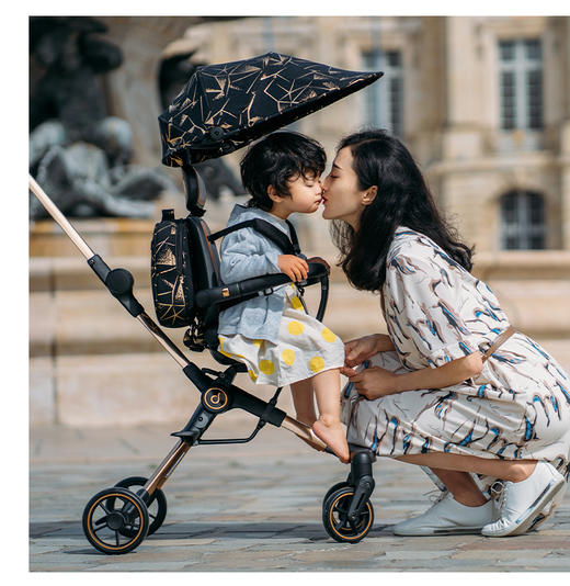 delama德拉玛S1笔记本溜娃神器专用订制收纳包星空系列手提背包 商品图1