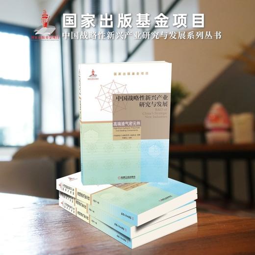 (仓发) 中国战略性新兴产业研究与发展(高端液气密元件)/机械工业出版社/9787111674221 商品图1