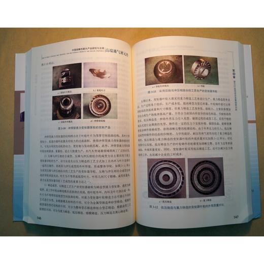 (仓发) 中国战略性新兴产业研究与发展(高端液气密元件)/机械工业出版社/9787111674221 商品图5