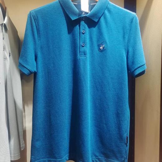 【814直播下午】南4 斯密特保罗男式服饰POLO衫 商品图1