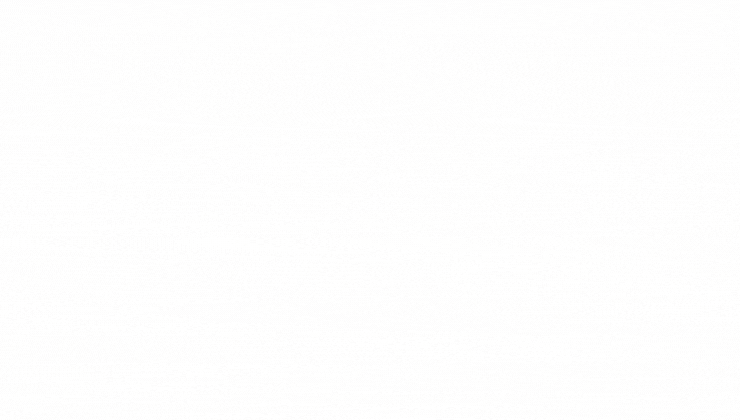 #新人养成攻略6则#猫咪绝育超全攻略