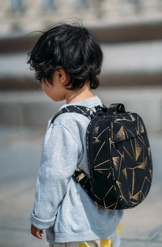 delama德拉玛S1笔记本溜娃神器专用订制收纳包星空系列手提背包 商品图0