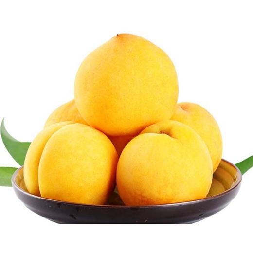 【秒杀】时令水果黄金油桃4.5斤家庭装（12-18个左右） 商品图2