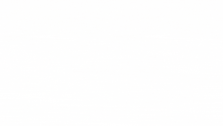 #新手养成攻略6则#猫咪训练法则